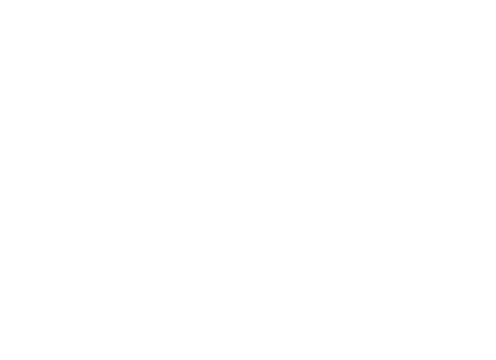Transrec